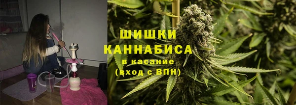 индика Баксан